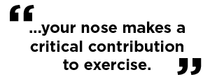 your nose makes a critical contribution to exercise